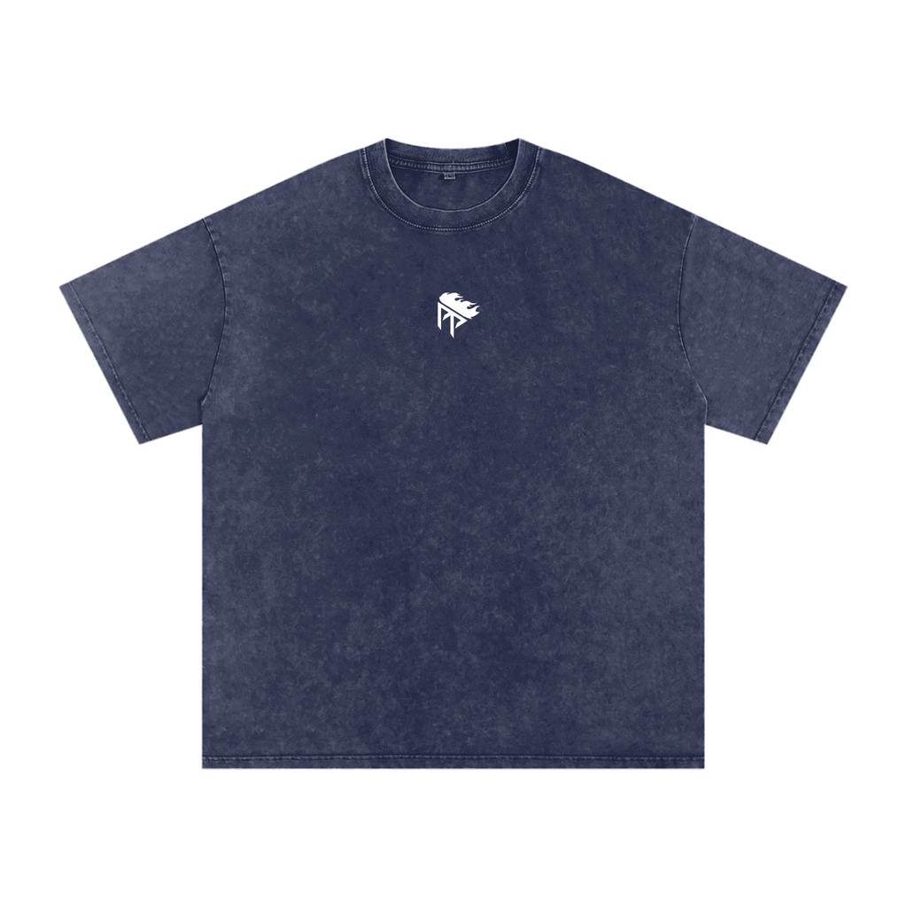 Paint Pro Logo — Snow Washed Oversized T-Shirt