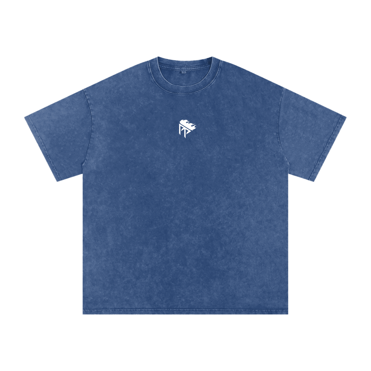 Paint Pro Logo — Snow Washed Oversized T-Shirt